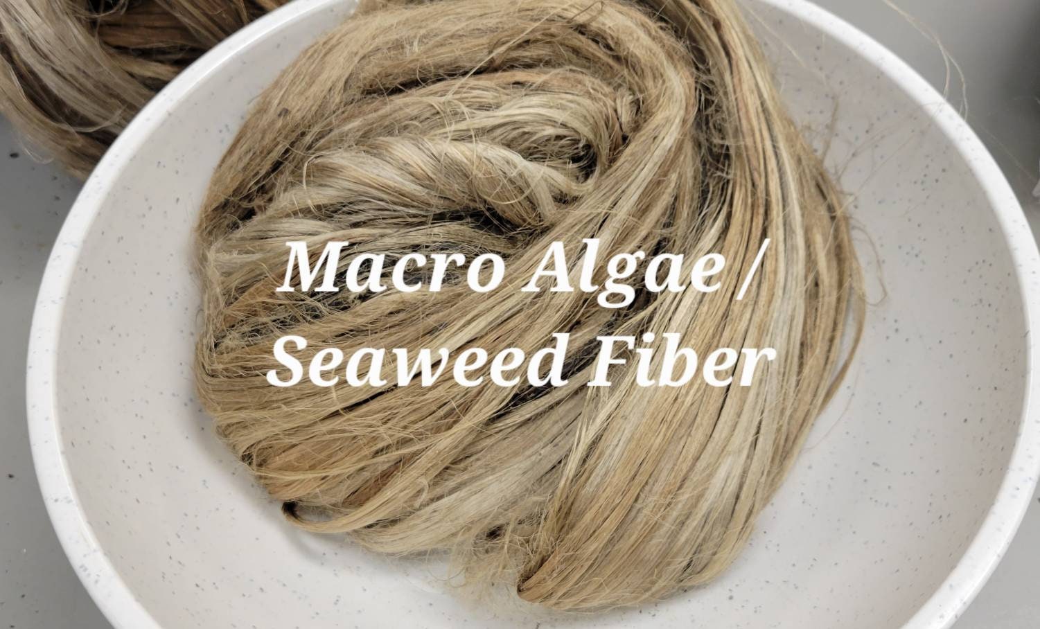 Seaweed / Macro Algae Long Fiber Bundle. 100% Natural Fiber.