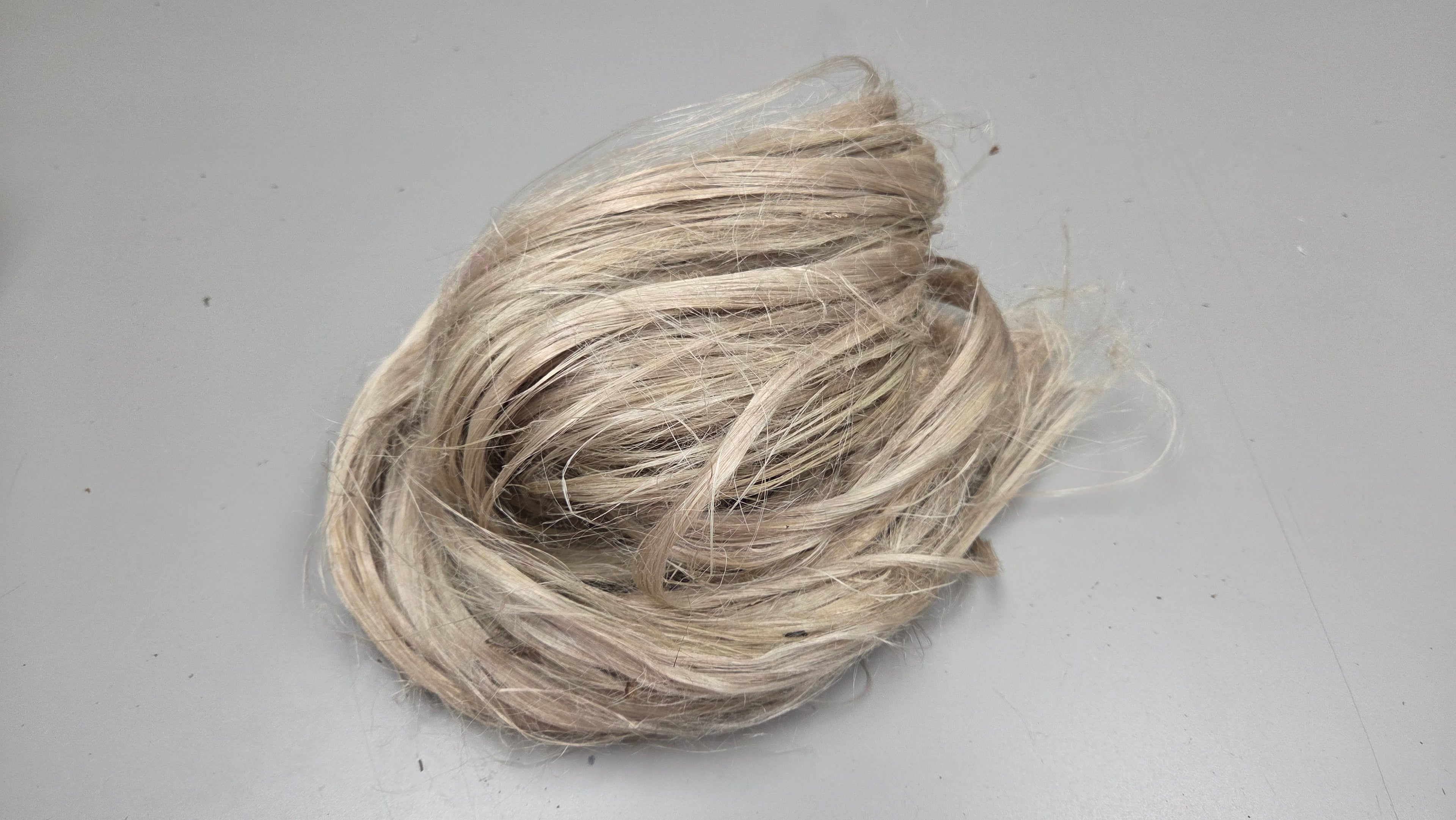 Algae Brown Seaweed Fiber Bundle. (Sargassum). Semi-Combed, Natural Fiber. Sold by Weight.
