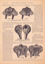 Ladies Standard Magazine, 1895 August, Vol 13 No 6. E-book DOWNLOAD.📥
