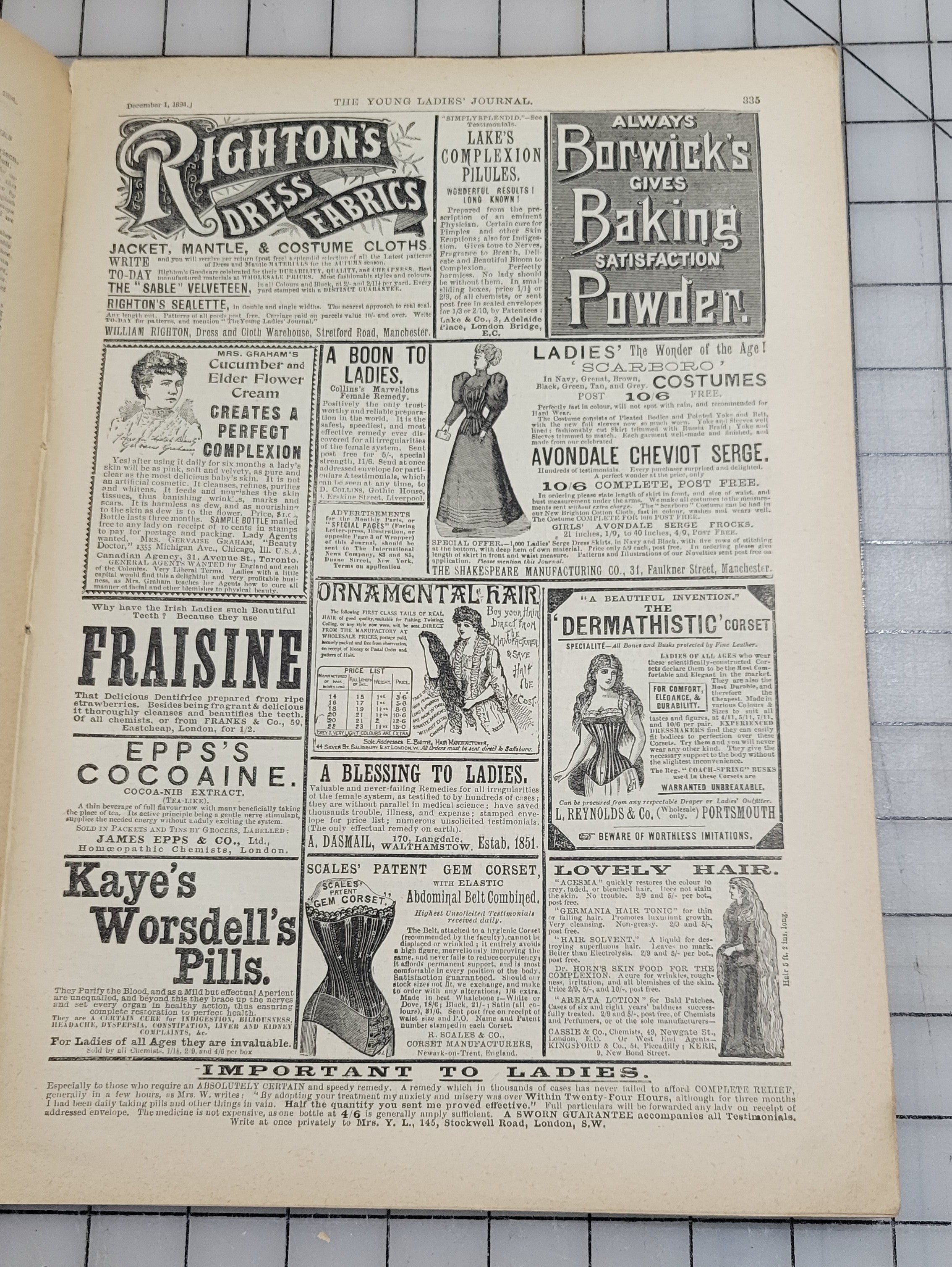 Young Ladies Journal 1894 Dec Antique Catalog Illustrated Fashion Victorian
