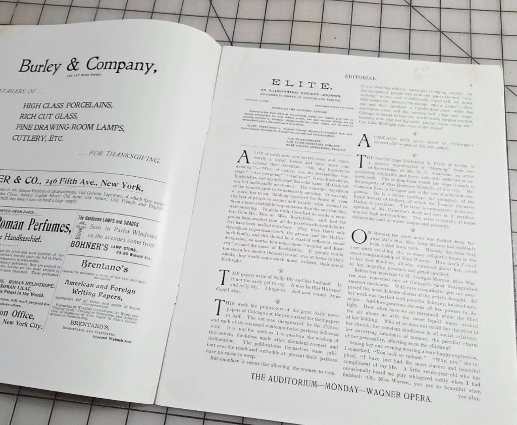 Elite The Illustrated Society Journal 1895 November 16 Chicago Fashion Culture