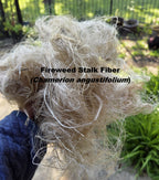 Fireweed Stalk Fiber. Un-Combed. Raw Unfinished Bundles
