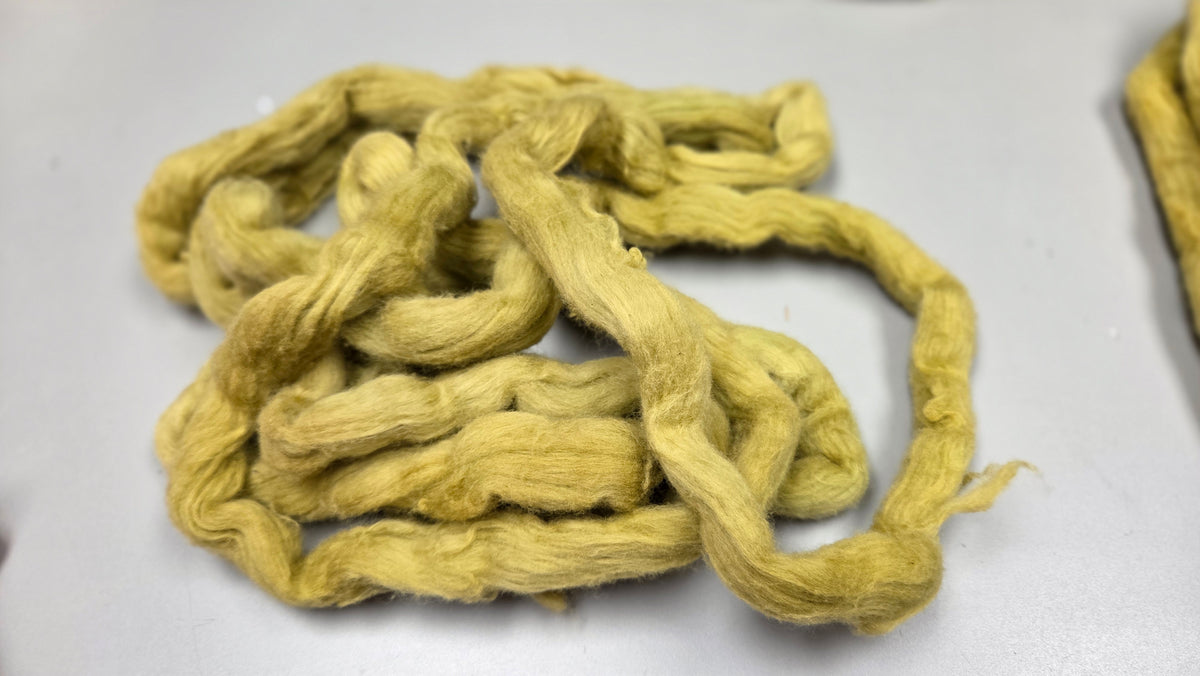 Cotton, 1/2 oz (0.5 ounce) Dyed Conventional Cotton Sliver, Small Batch Studio Dyed (Bronze D)