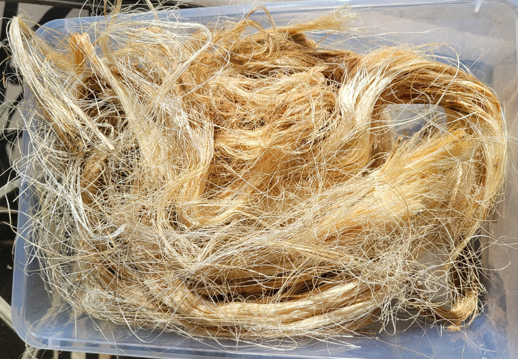 Sisal Long Fiber Bundle. Natural Un-Combed Fiber.
