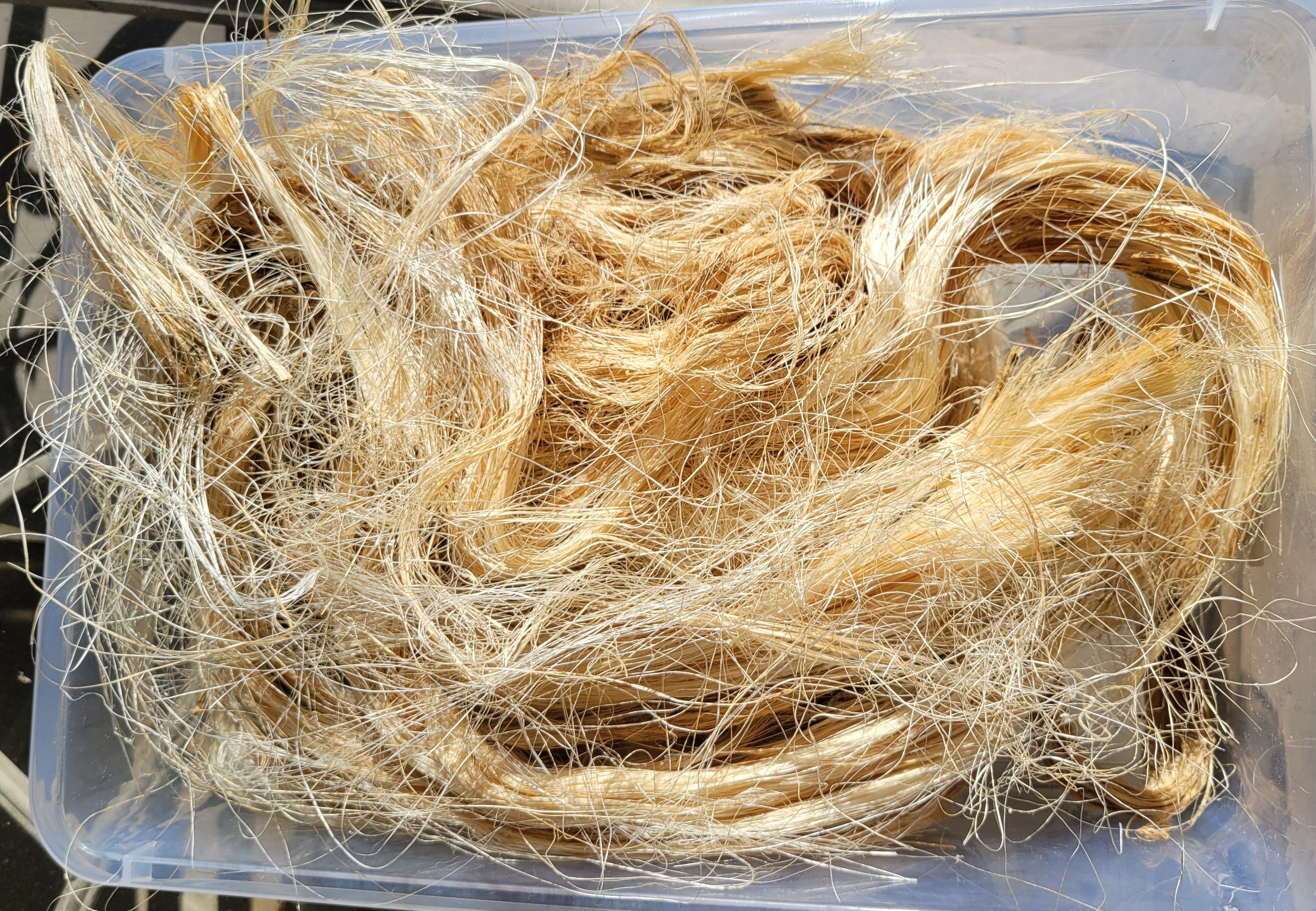 Sisal Long Fiber Bundle. Natural Un-Combed Fiber.