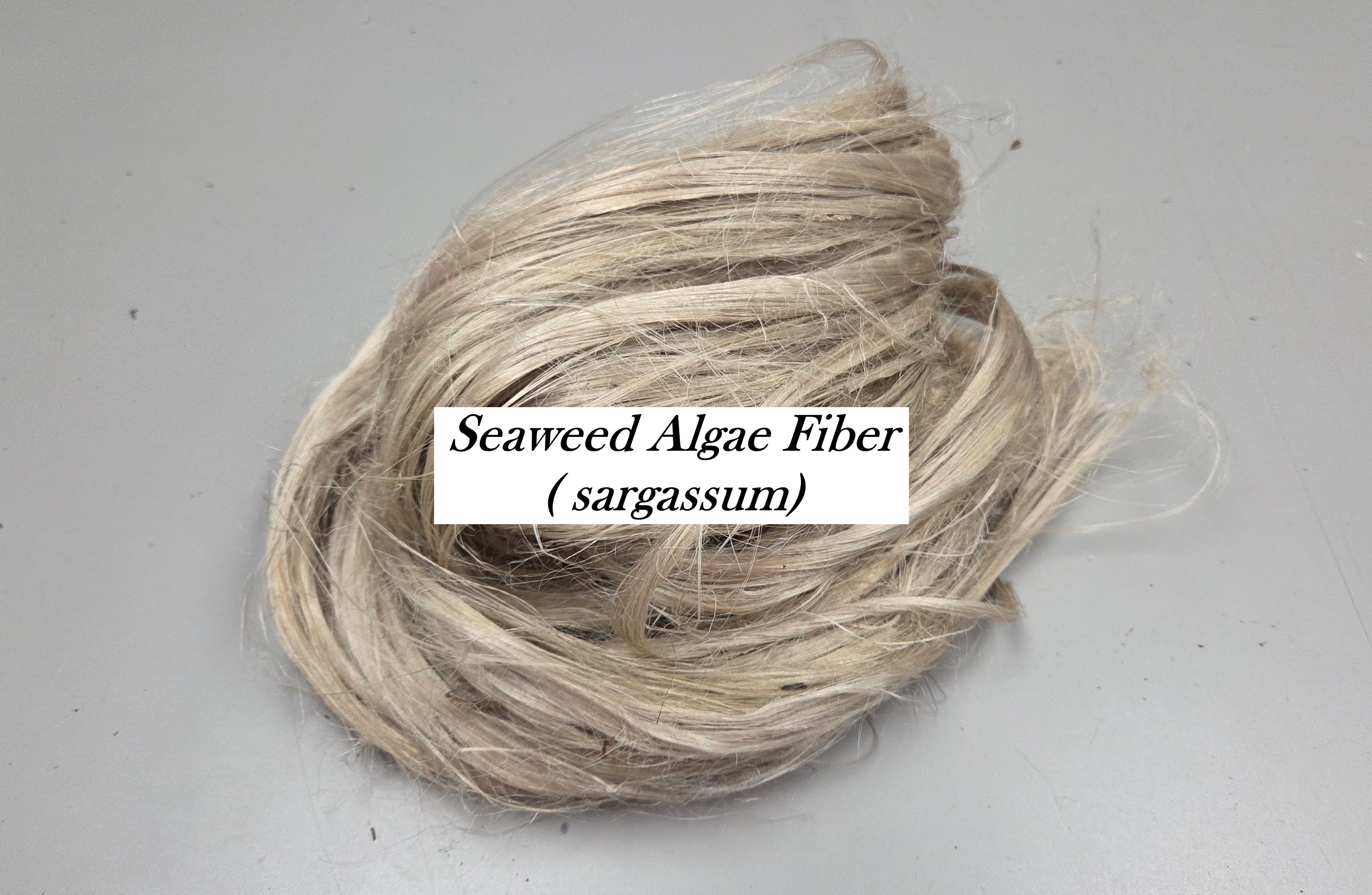Algae Brown Seaweed Fiber Bundle. (Sargassum). Semi-Combed, Natural Fiber. Sold by Weight.