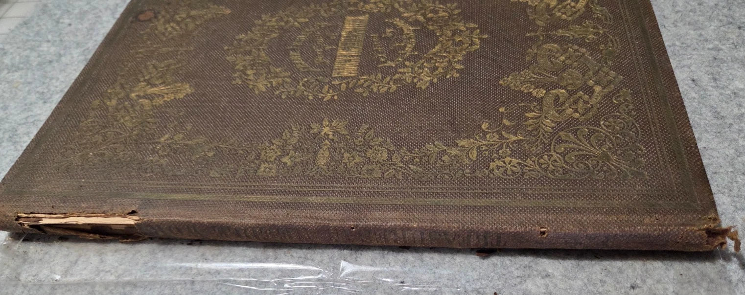 1855 Frank Leslie's Portfolio Fancy Needlework Ed. Mrs. Stephens Lace Chart Art