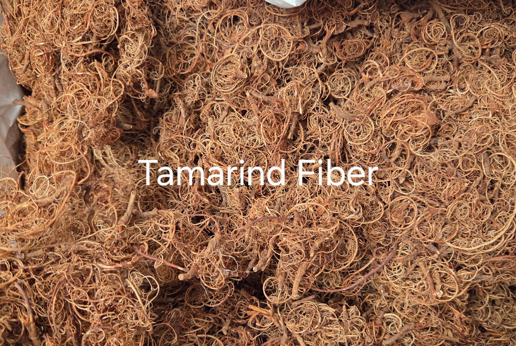 Tamarind Stalk Fiber. Un-Combed. Raw Unfinished Textile Bundle.