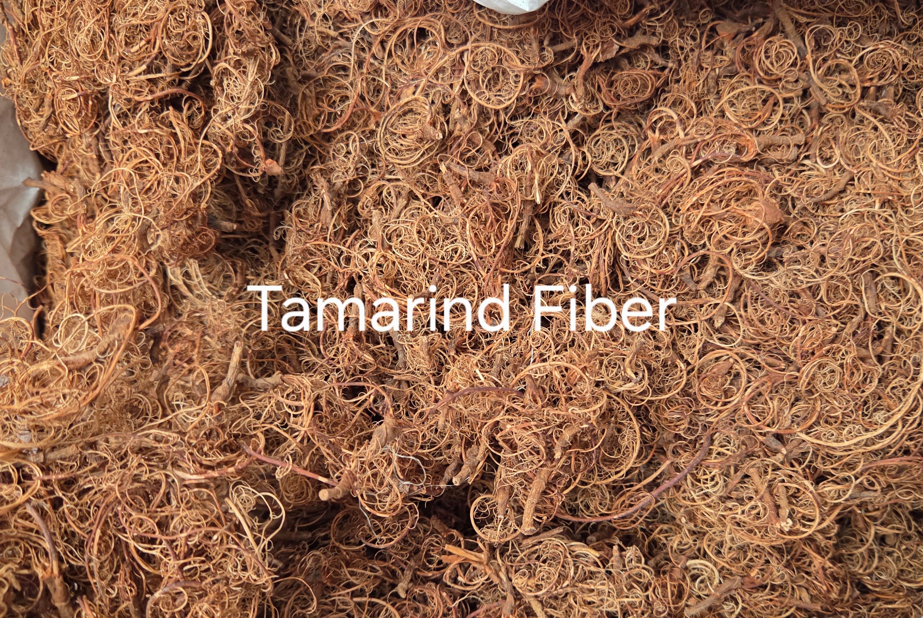 Tamarind Stalk Fiber. Un-Combed. Raw Unfinished Textile Bundle.