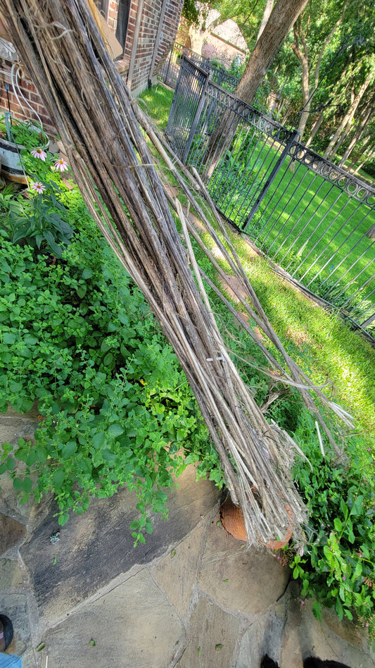Hemp Stalk Bundle. Field Dew Retted. USA Grown.