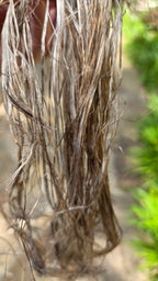 Hemp USA Grown - 3 Years Field Retted, Long Line Fiber Bundle - 1 Pound Bundle