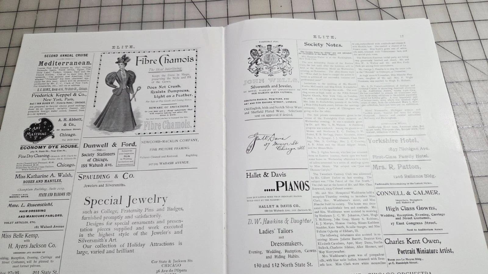 Elite The Illustrated Society Journal 1895 November 16 Chicago Fashion Culture