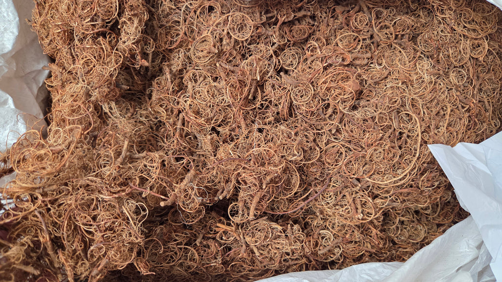 Tamarind Stalk Fiber. Un-Combed. Raw Unfinished Textile Bundle.