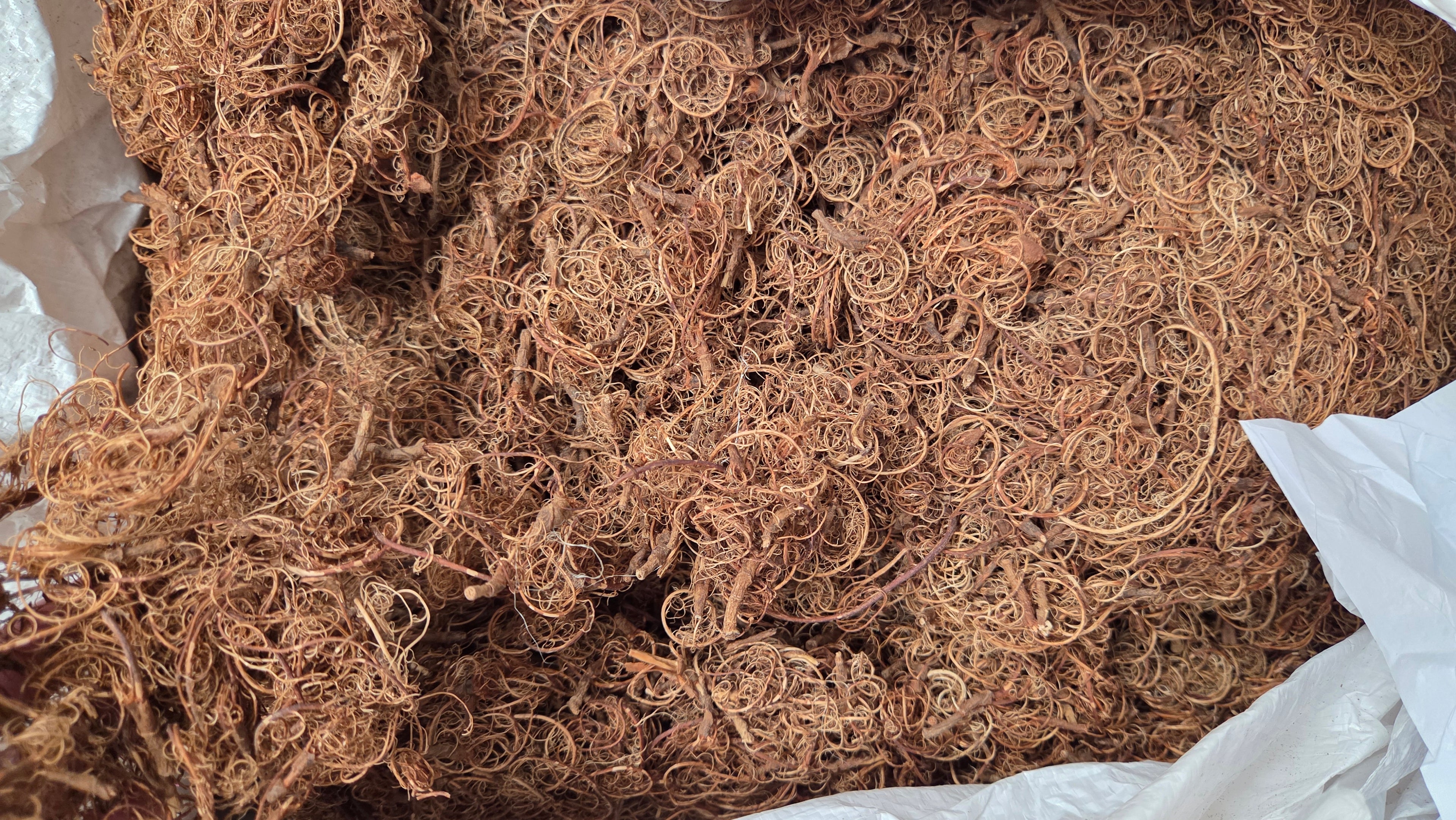 Tamarind Stalk Fiber. Un-Combed. Raw Unfinished Textile Bundle.