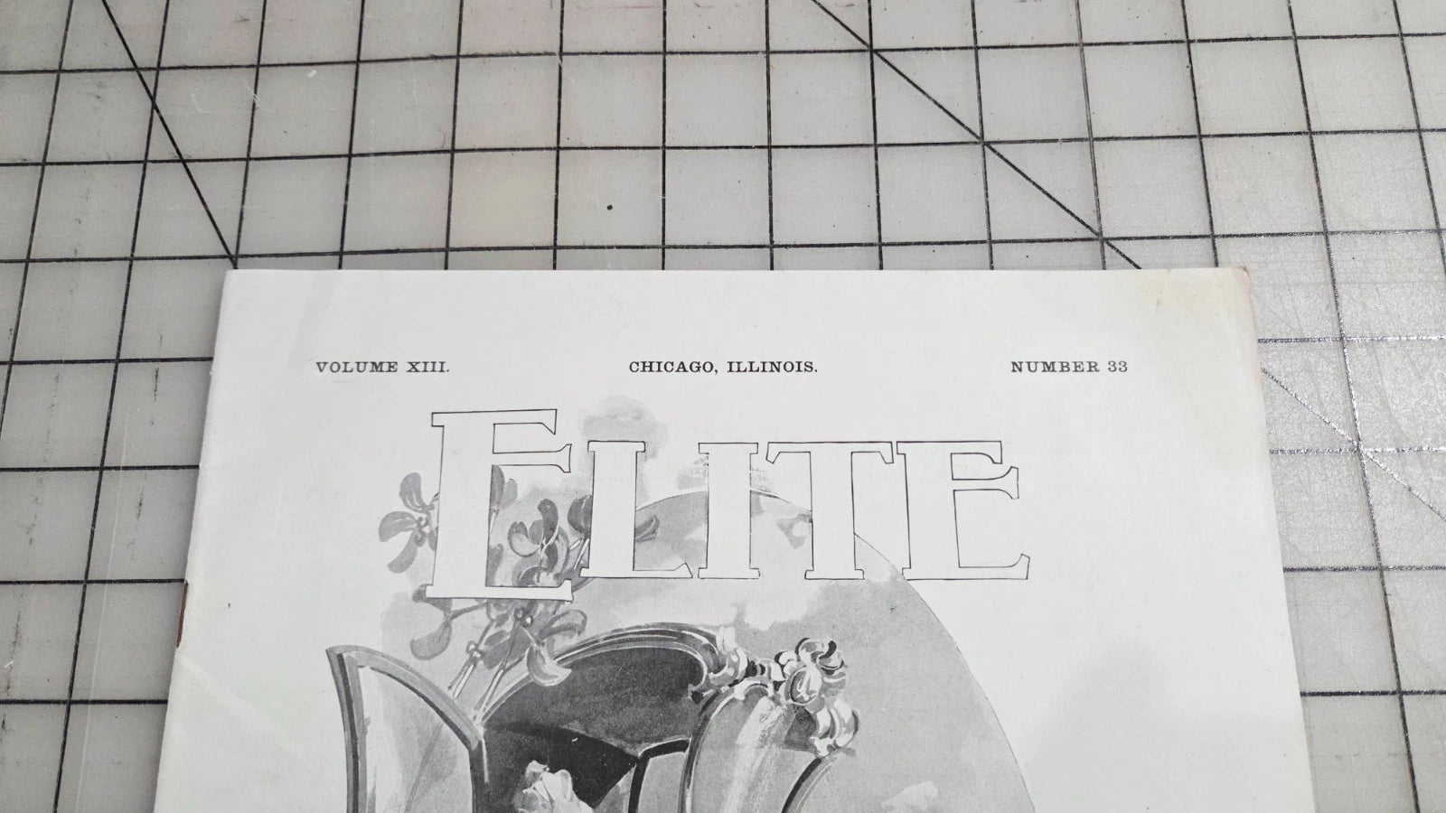 Elite The Illustrated Society Journal 1895 November 16 Chicago Fashion Culture