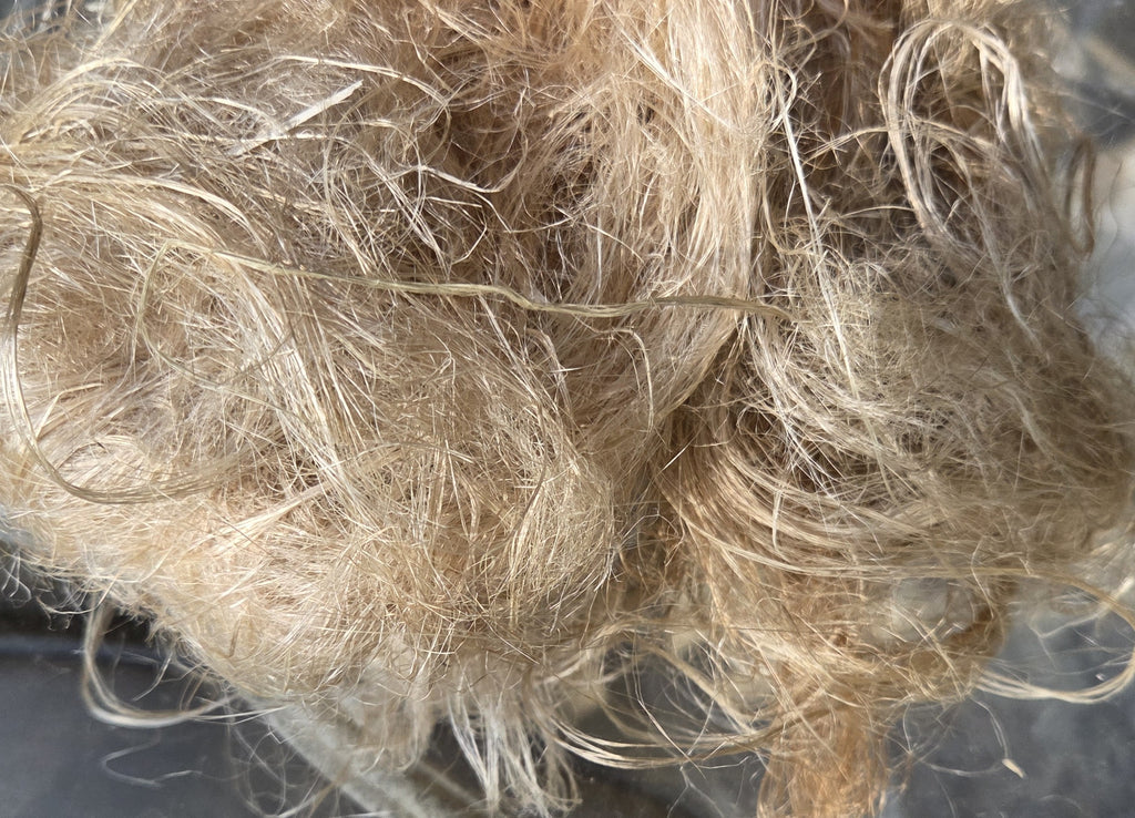 Fireweed Stalk Fiber. Un-Combed. Raw Unfinished Bundles