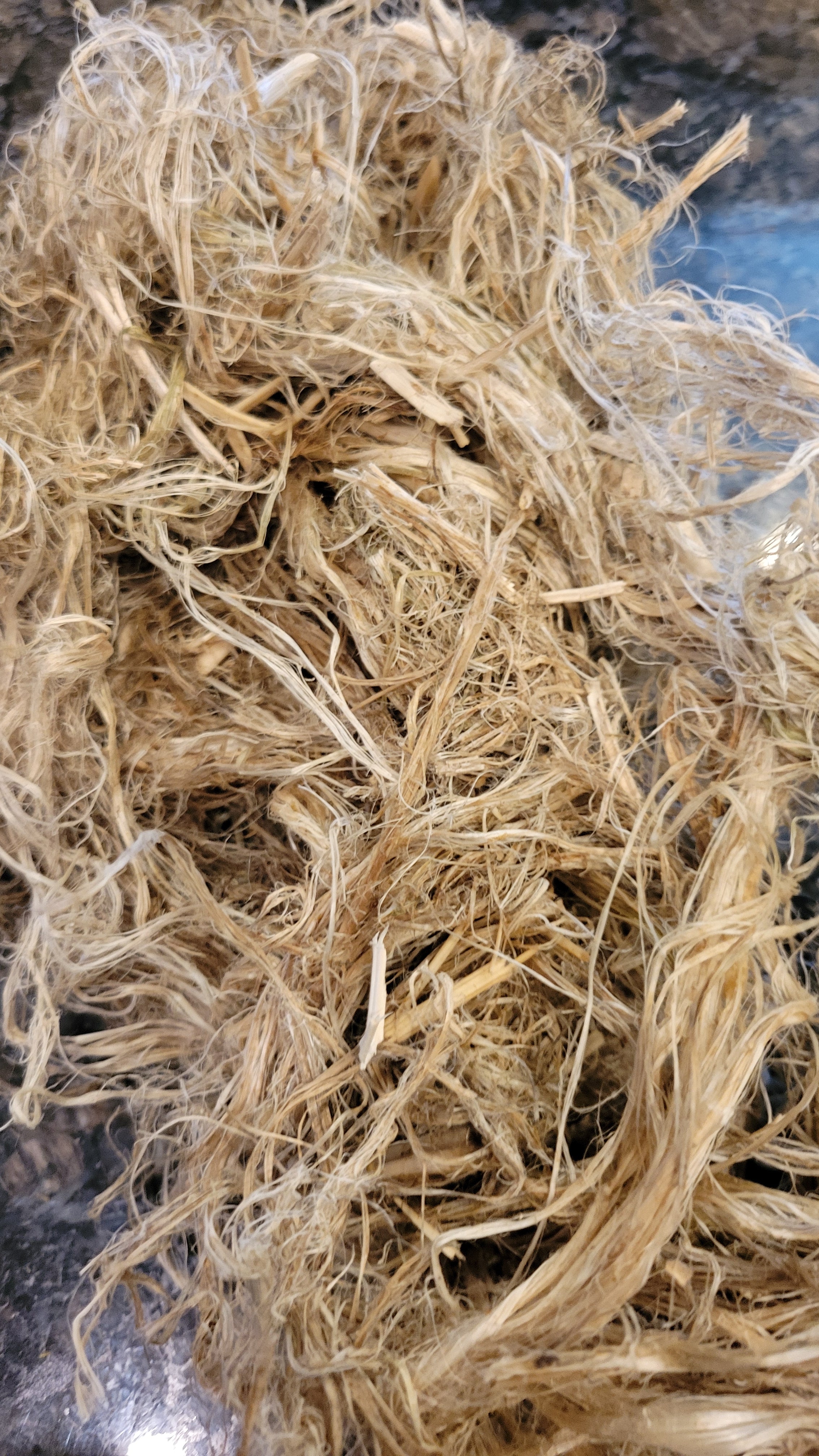 Hemp Fiber Raw UnCombed. USA Grown. 2 oz. 11 Days Retted.