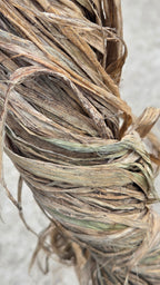 Sunn Hemp Fiber. Natural Raw Un-Combed Textile Bundles.
