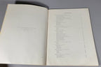 Dress Decoration Ornament 417 Original Woman's Institute Sewing Book 1920s