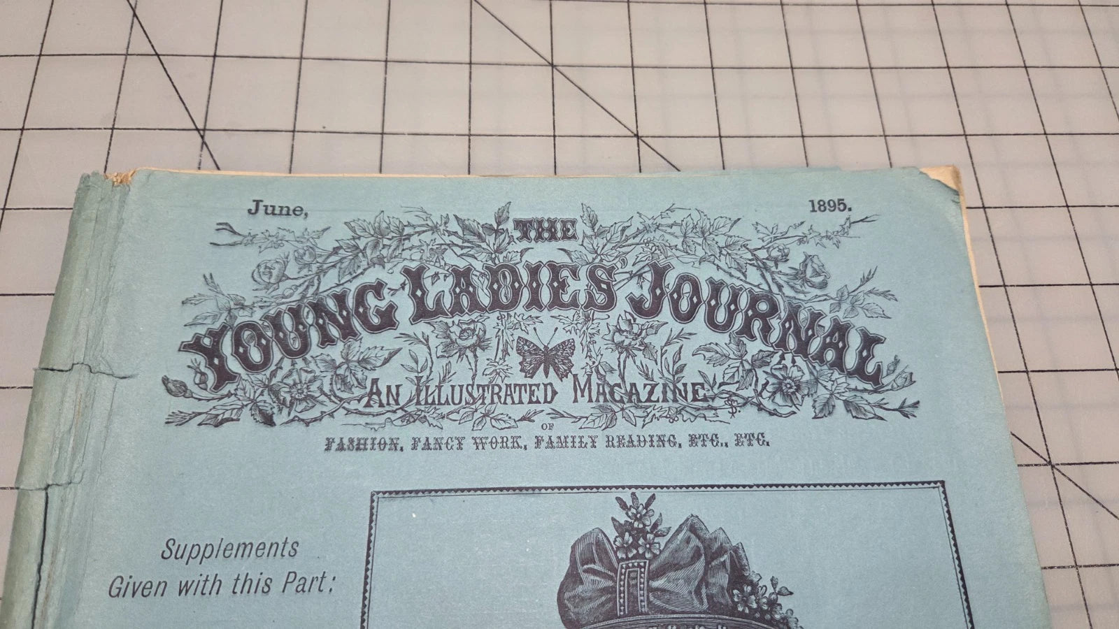 Young Ladies Journal Magazine 1895 June Fashion Illustrated Patterns American Ed