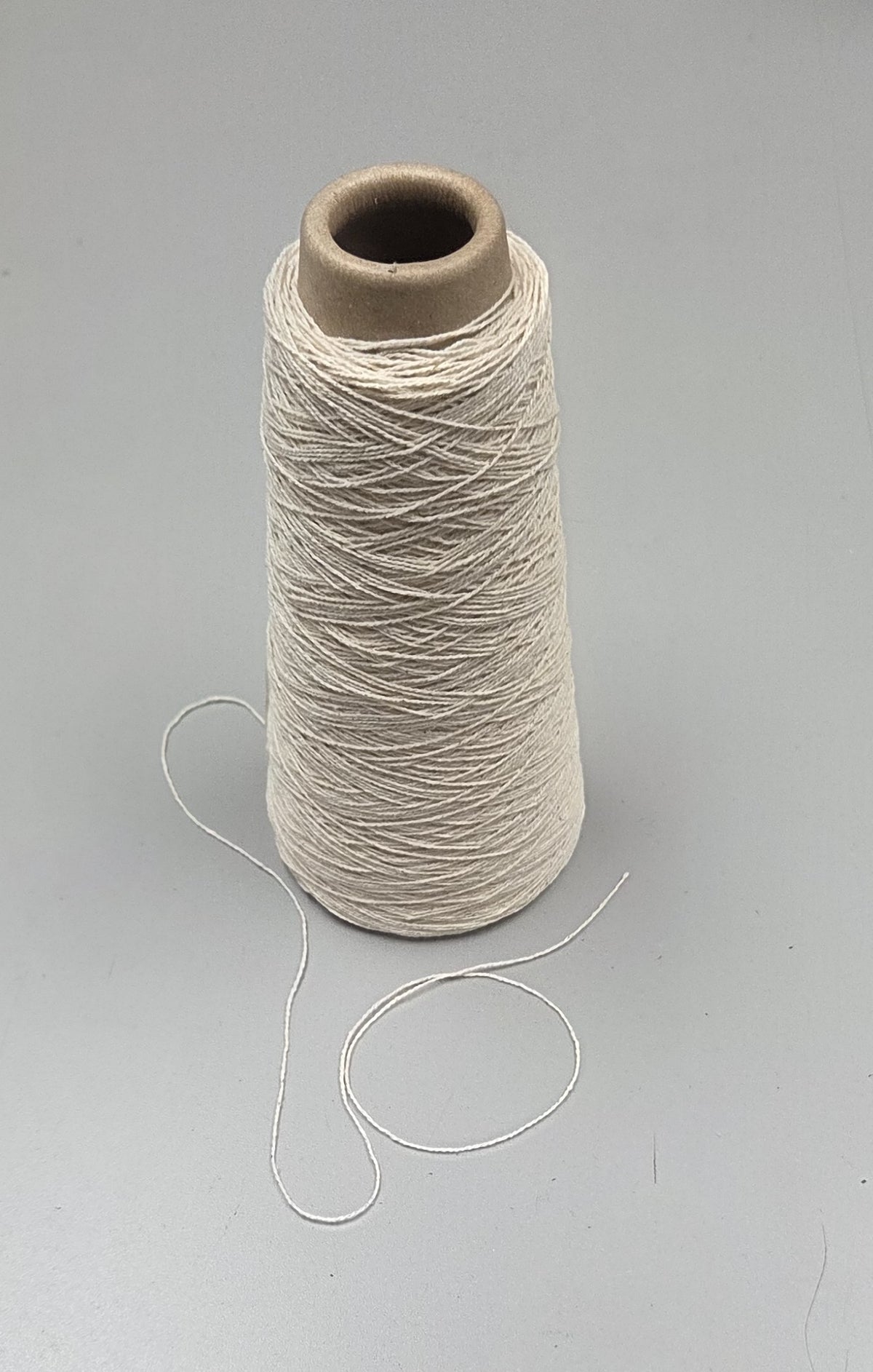 Snake Plant + Cotton Yarn. 250 Yards. 40/2 - Ply. Natural.
