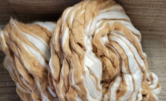 Brown + White Cotton Fiber Sliver, Combed, Natural USA Grown Color - 1 ounce