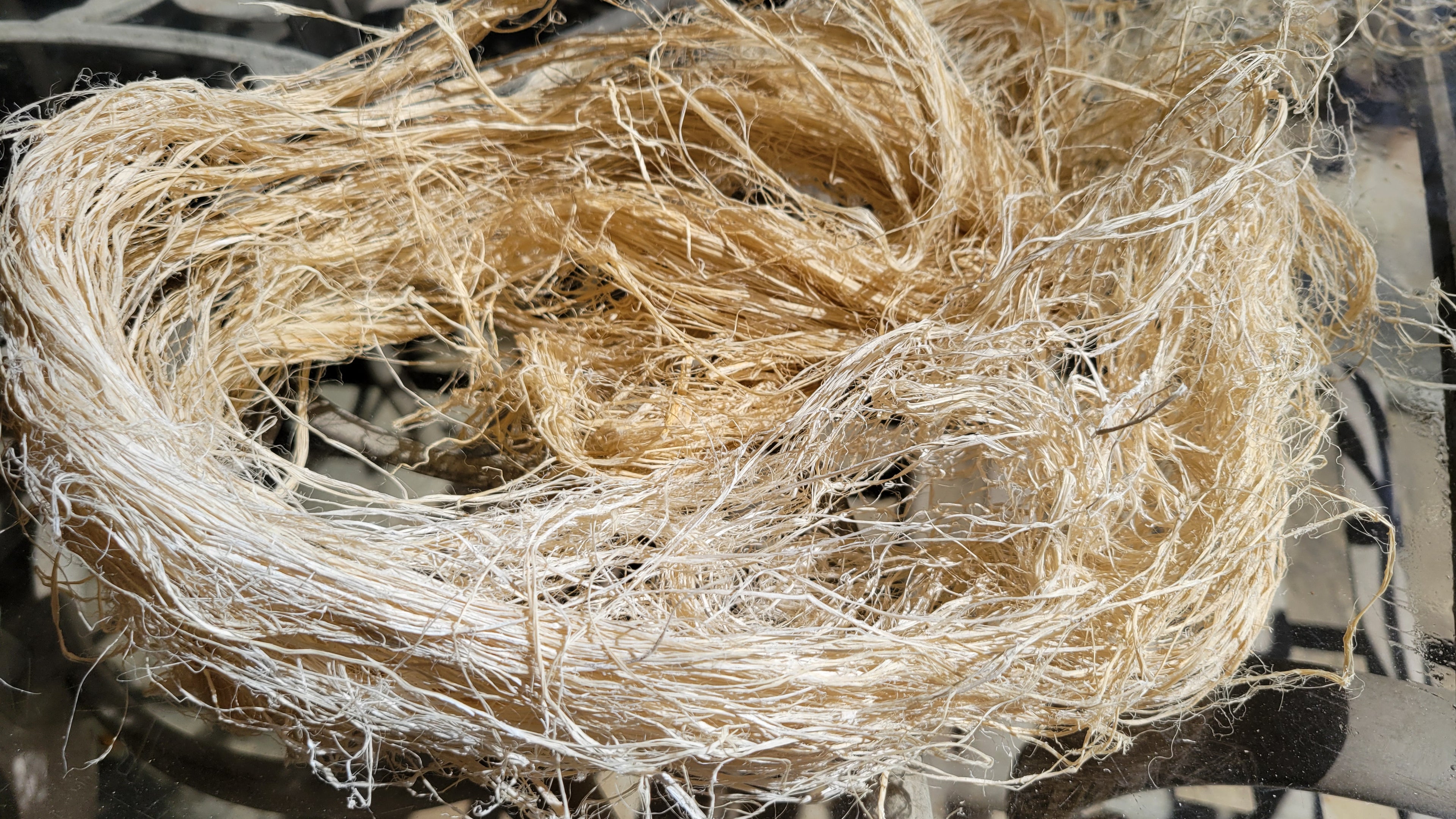 Unspun and Combed Raw Fiber (Abaca Uncombed Fiber)