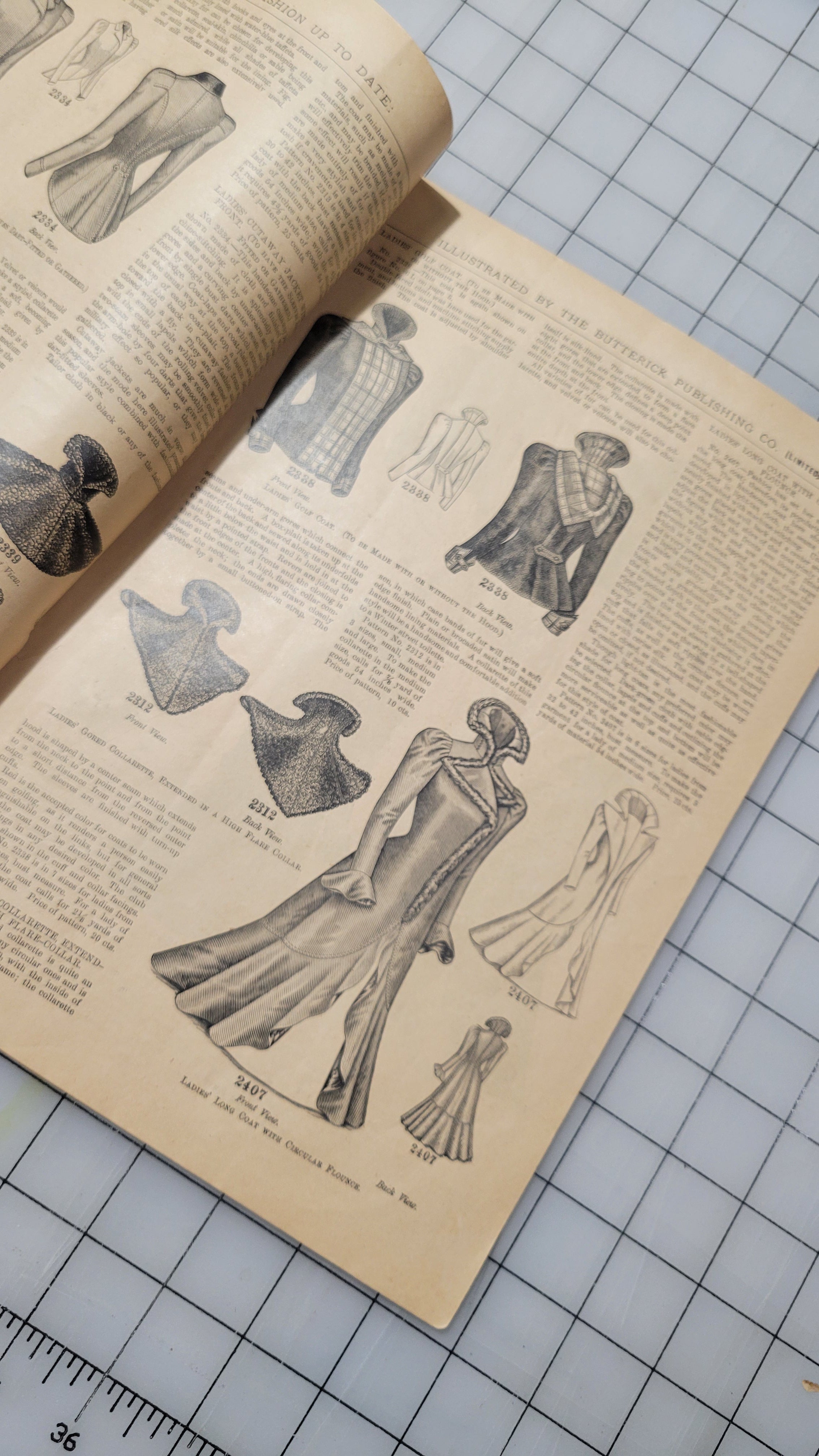 The Glass of Fashion, 1899 January, Butterick Publishing Co. Ltd., Vol 39 No 1