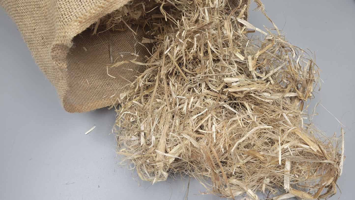 Hemp Fiber Raw UnCombed. Texas Grown. 85% Hurd Clean. 2-Ounce Bundle.