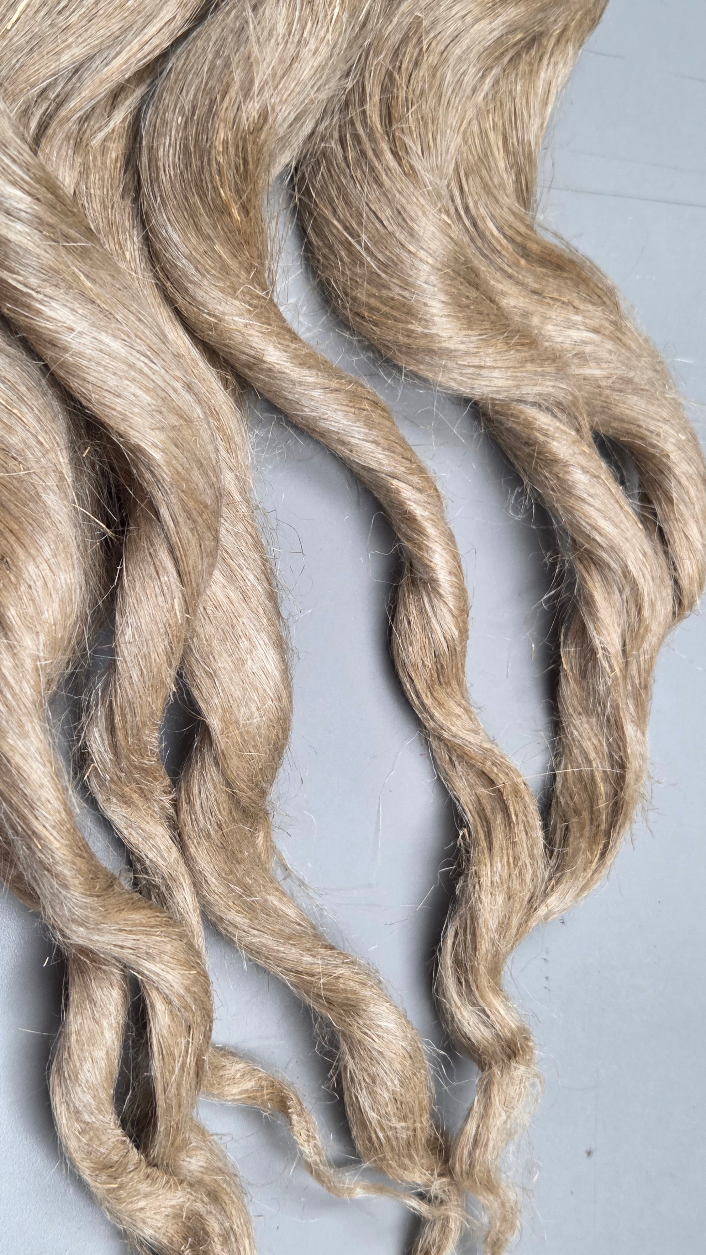 Antique Flax Strick from 1900s. Fine Natural Bast Fiber. 3 oz.