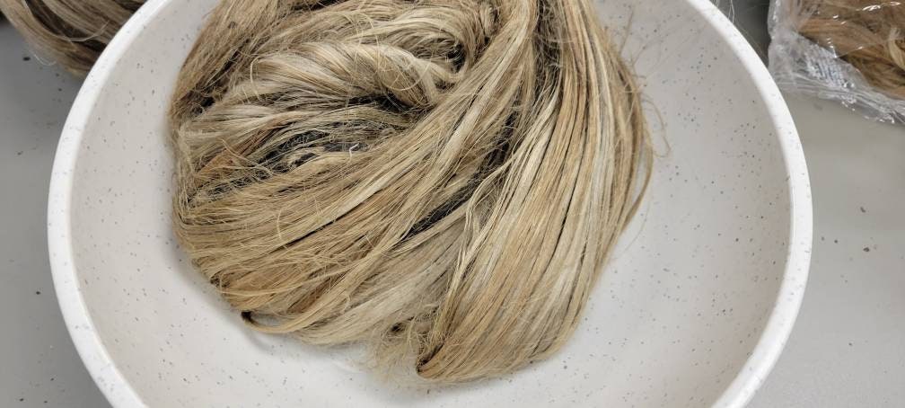 Seaweed / Macro Algae Long Fiber Bundle. 100% Natural Fiber.