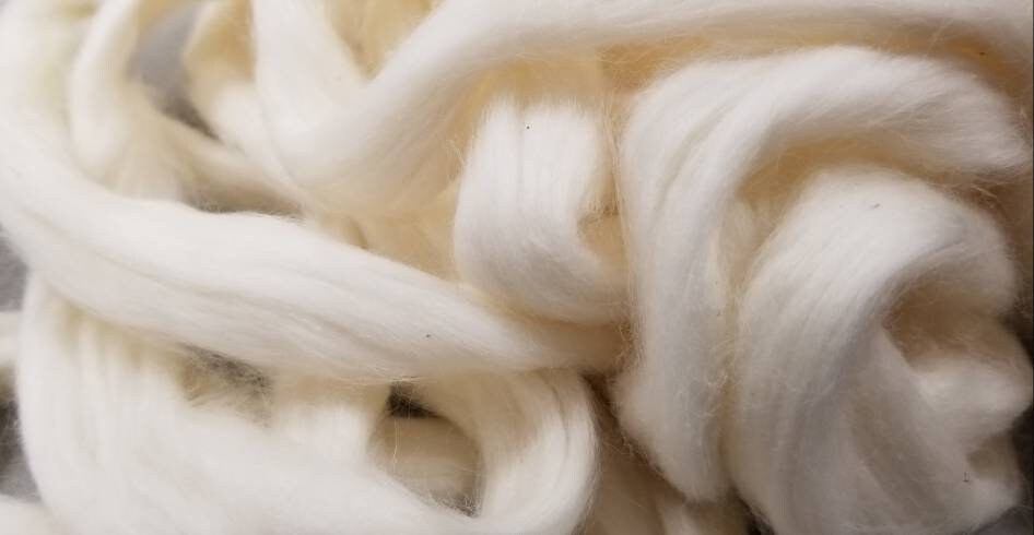 Cotton Sliver, USA Organic (Texas), Upland Variety