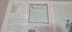 1901 FASHIONS. December Journal American Woman Paper Original Dress, Victorian