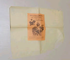 Rare 1896 Le Moniteur de la Mode January French Fashion Included Bodice Pattern