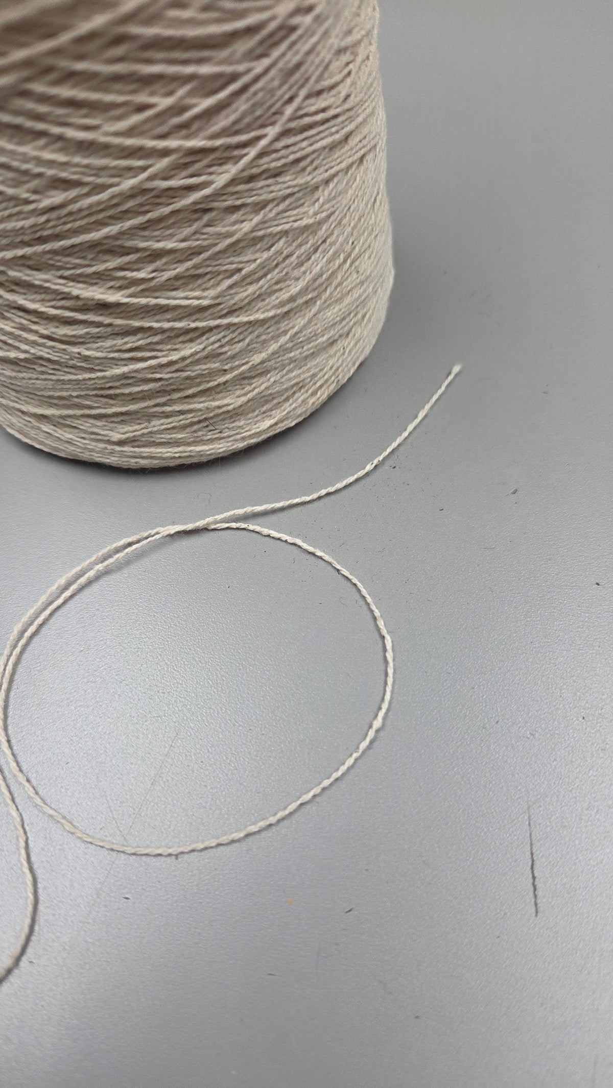 Snake Plant + Cotton Yarn. 250 Yards. 40/2 - Ply. Natural.