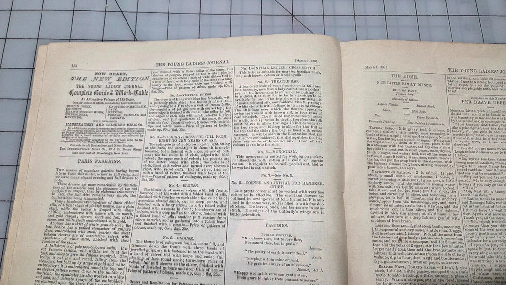 Young Ladies Journal Magazine 1895 March Fashion Illustrated Patterns American