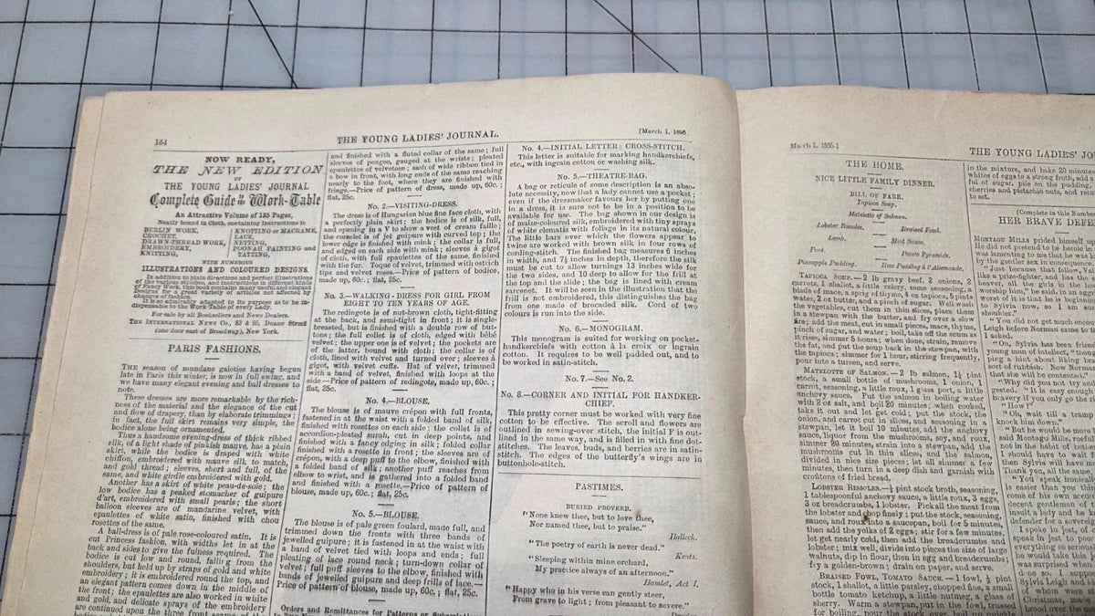 Young Ladies Journal Magazine 1895 March Fashion Illustrated Patterns American