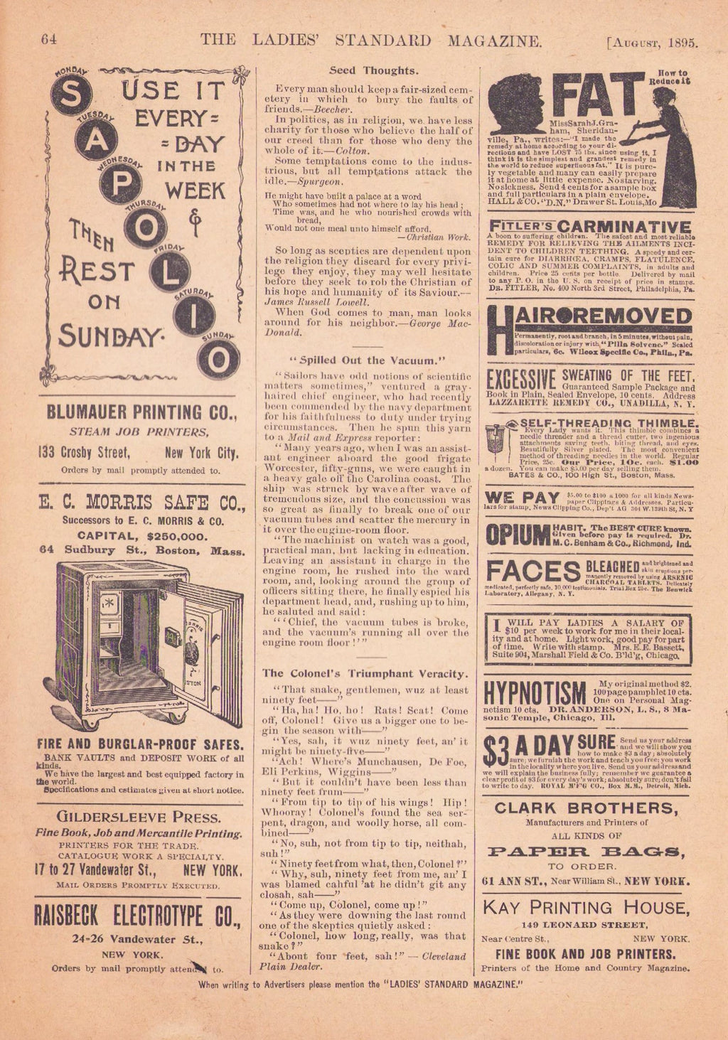 Ladies Standard Magazine, 1895 August, Vol 13 No 6. E-book DOWNLOAD.📥