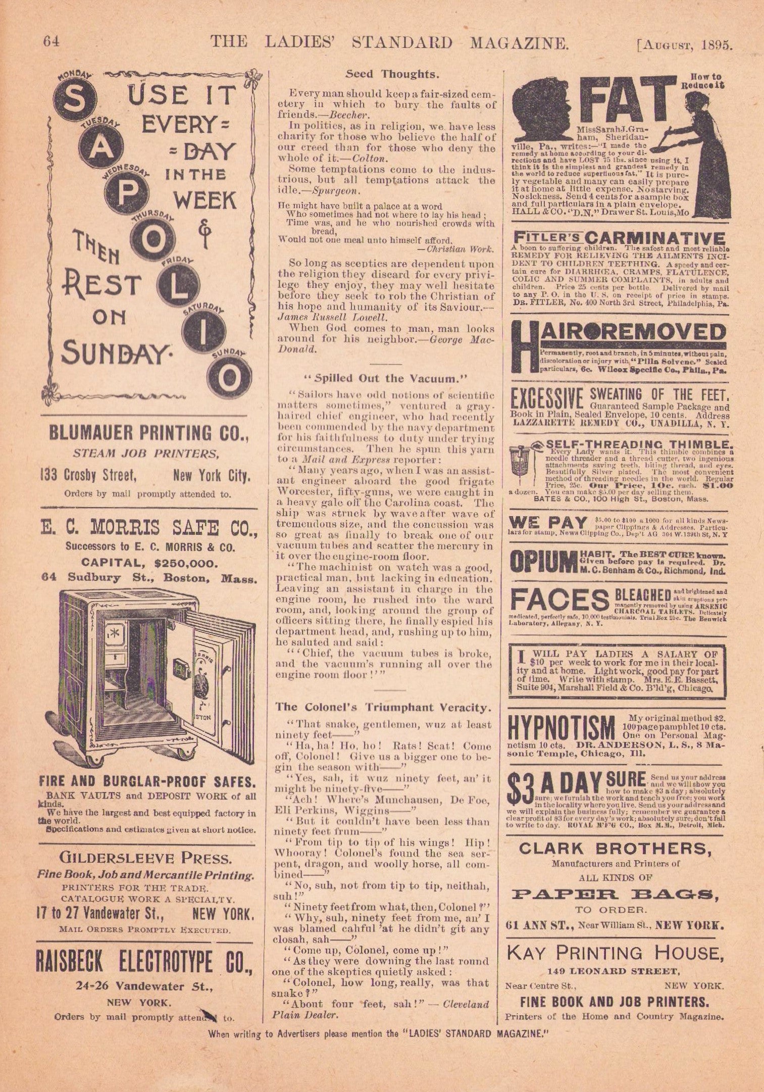Ladies Standard Magazine, 1895 August, Vol 13 No 6. E-book DOWNLOAD.📥