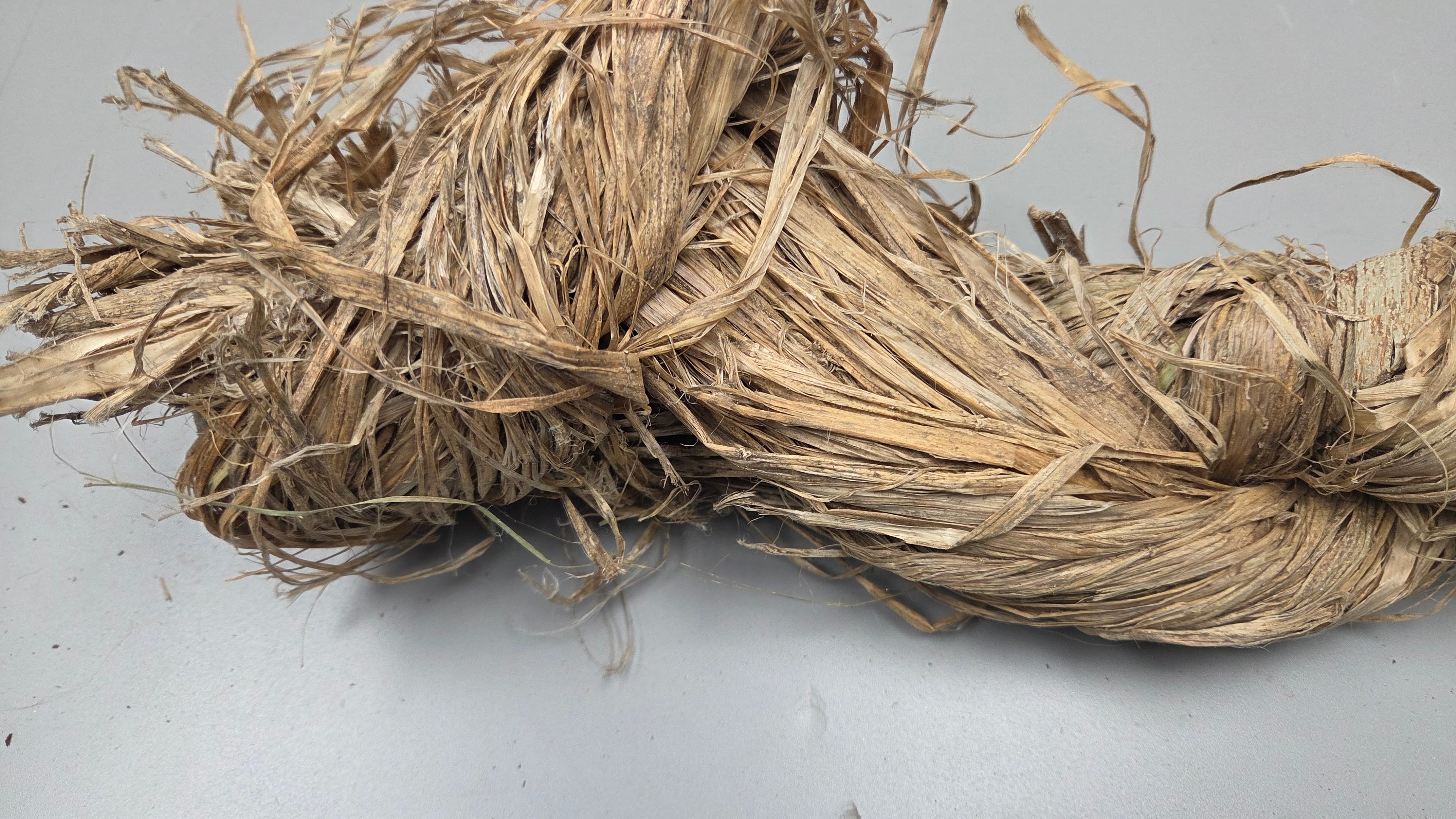 Sunn Hemp Fiber. Natural Raw Un-Combed Textile Bundles.
