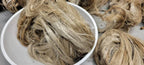 Seaweed / Macro Algae Long Fiber Bundle. 100% Natural Fiber.