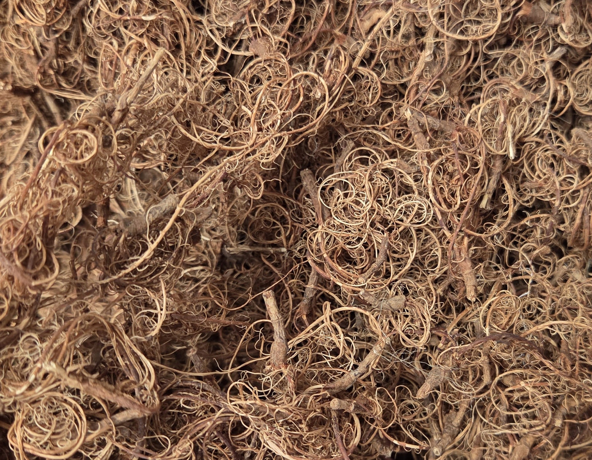 Tamarind Stalk Fiber. Un-Combed. Raw Unfinished Textile Bundle.