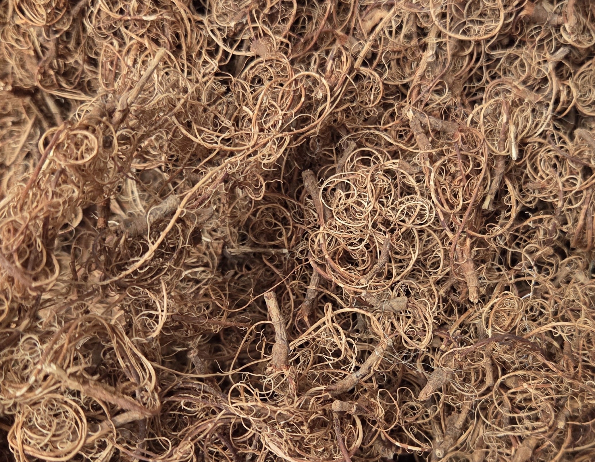 Tamarind Stalk Fiber. Un-Combed. Raw Unfinished Textile Bundle.