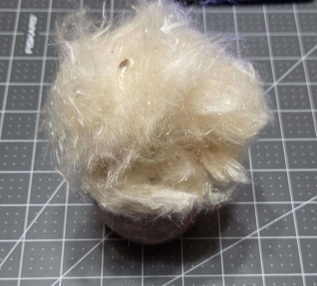 Milkweed Floss Fiber. Un-Combed. USA Wild-Harvested. 0.2 ounce.