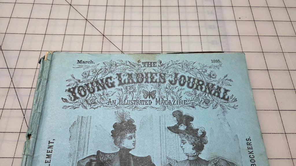 Young Ladies Journal Magazine 1895 March Fashion Illustrated Patterns American