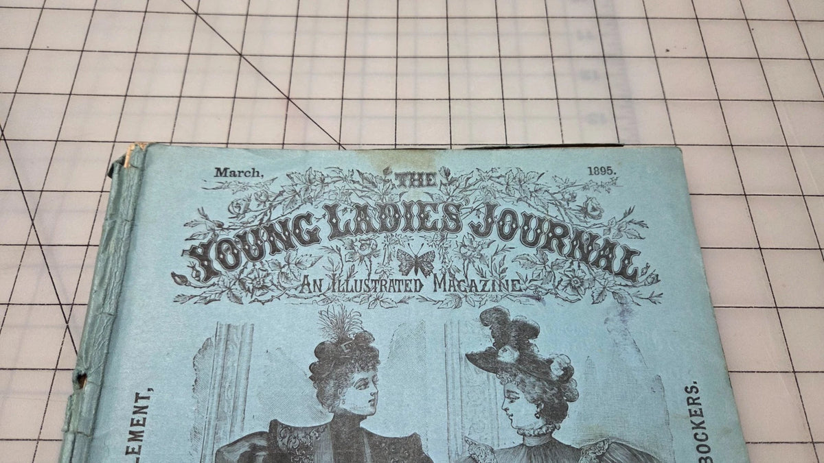 Young Ladies Journal Magazine 1895 March Fashion Illustrated Patterns American