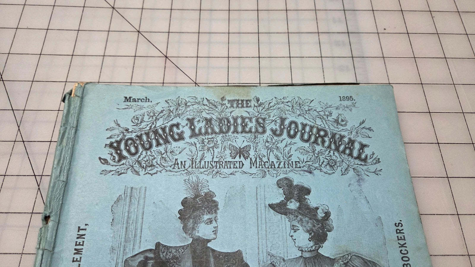 Young Ladies Journal Magazine 1895 March Fashion Illustrated Patterns American