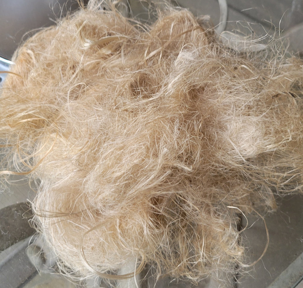 Sunflower Stalk Fiber. Un-Combed. Raw Unfinished Bundles