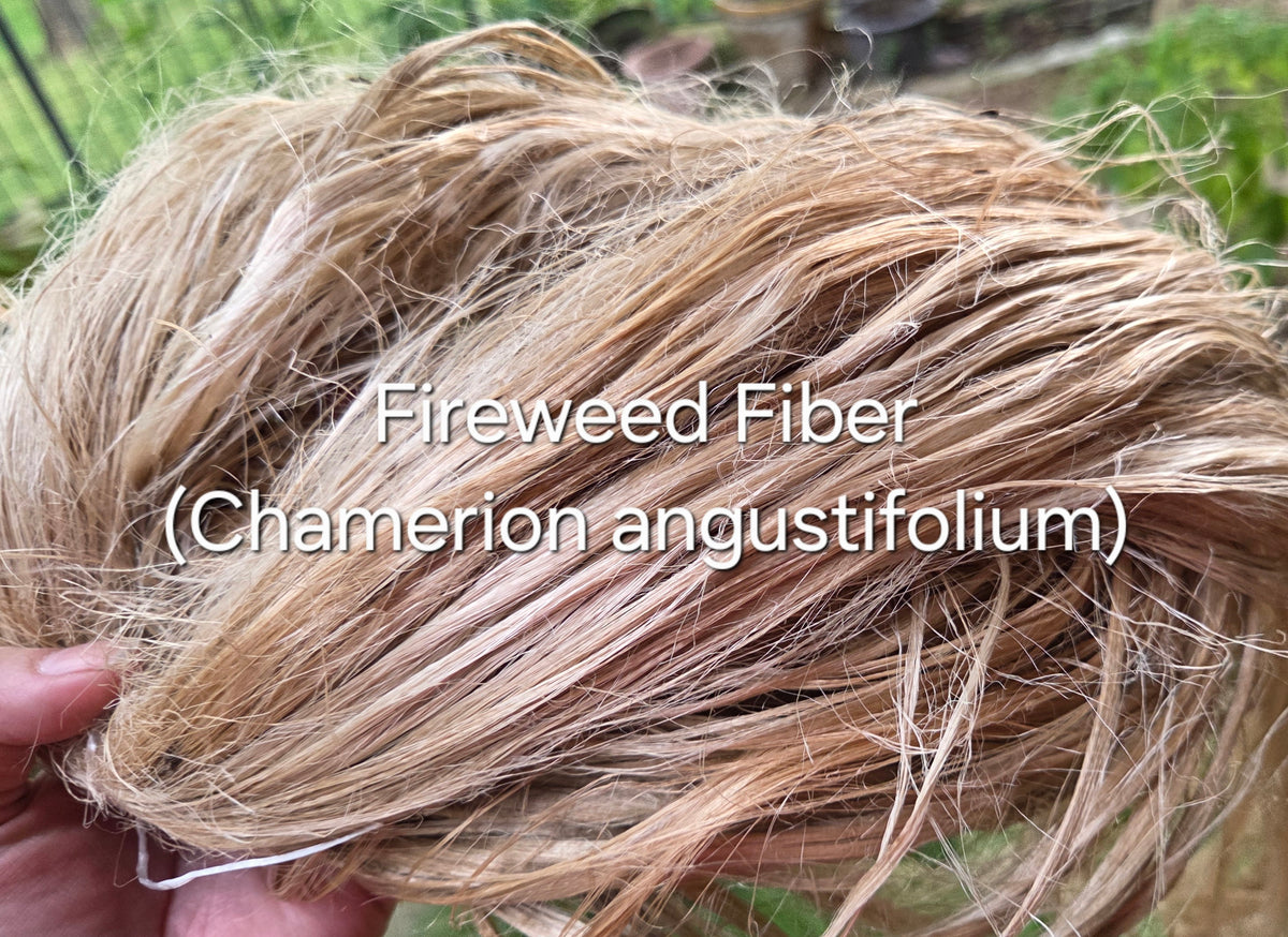 Fireweed Fiber Bundle. Natural Semi-Combed Fiber. Raw. (Chamerion angustifolium)