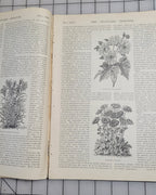 Standard Designer May 1898 Fashion Company NY Dress Ladies Booklet Catalog